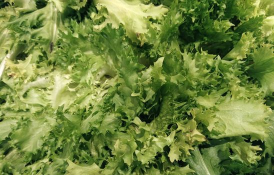 salad