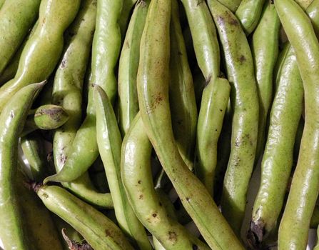 Fava beans