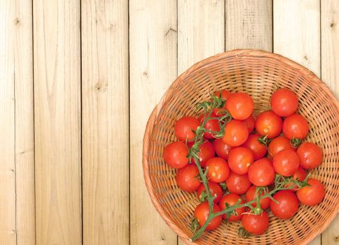 tomatoes