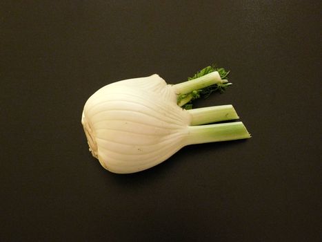 fennel