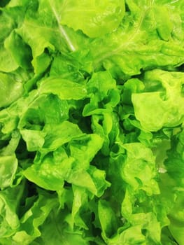 salad