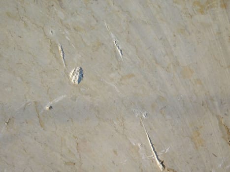 marble texture