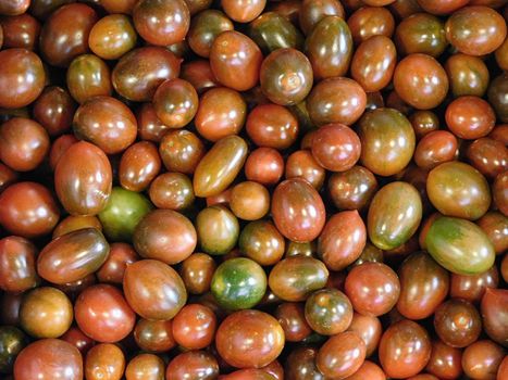 tomatoes