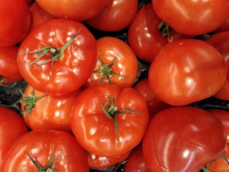 tomatoes