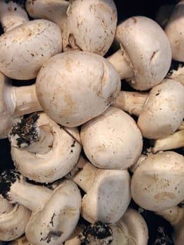 mushrooms