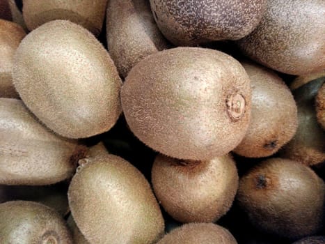 Kiwi
