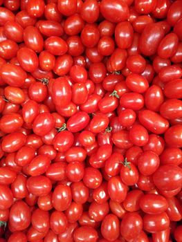 tomatoes