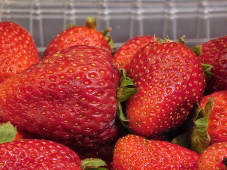 strawberries