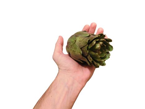 artichoke in hand