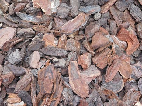 wood texture