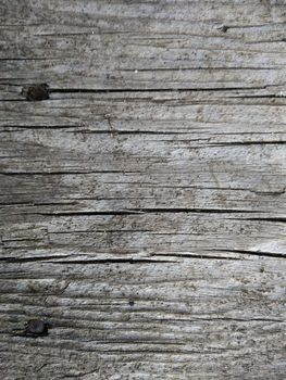 wood texture