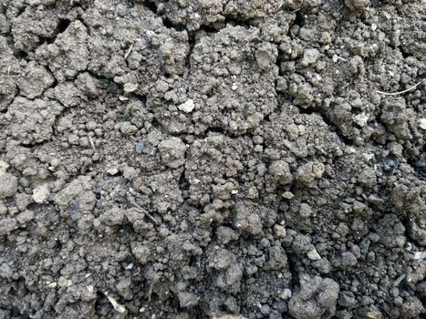 dry land texture