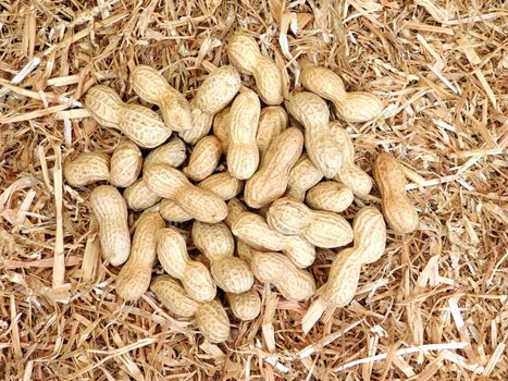 peanuts