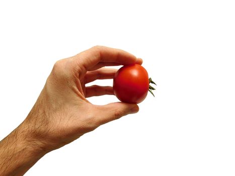 tomato in hand