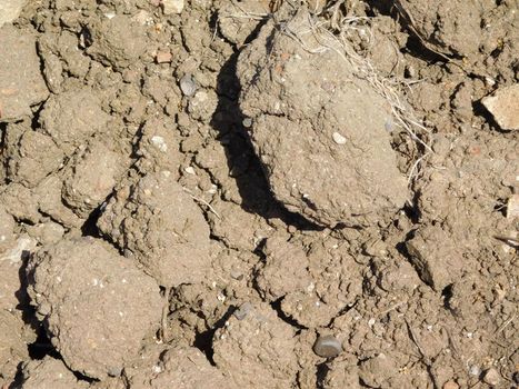 earth texture