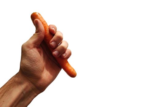 carrot in hand