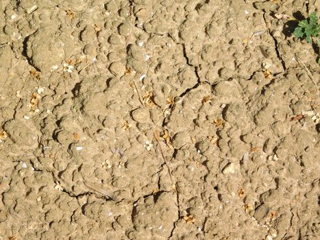 earth texture