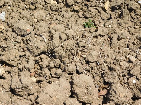 earth texture