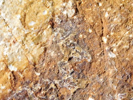 stone texture