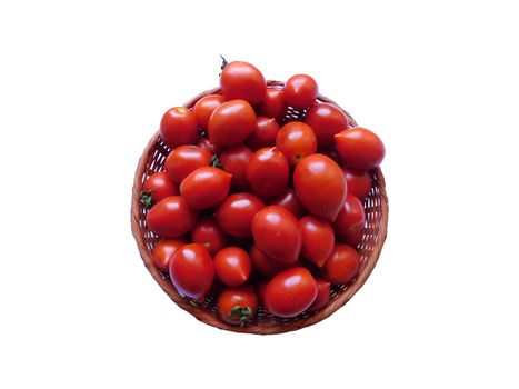 tomatoes