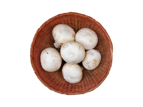 mushrooms