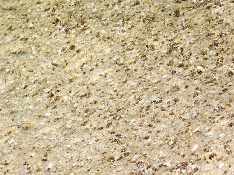 stone texture