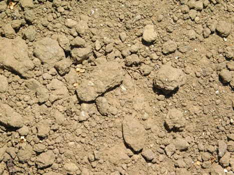 earth texture