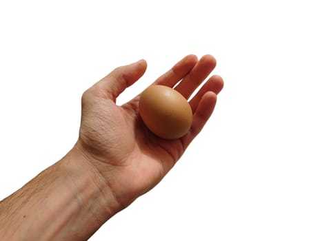 egg in hand