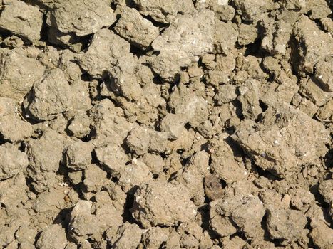 earth texture