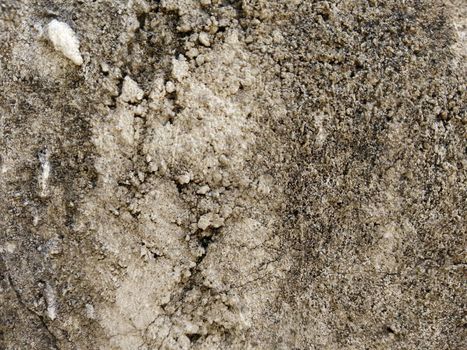 stone texture