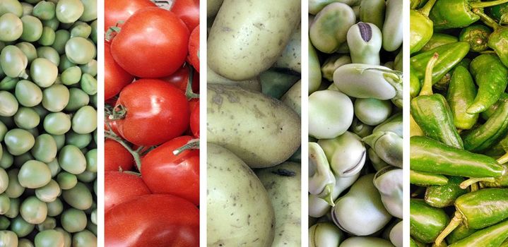 vegetable collage