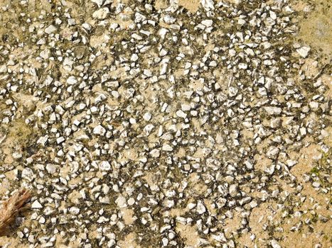 marble texture
