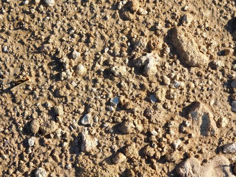 earth texture