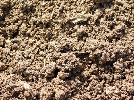earth texture