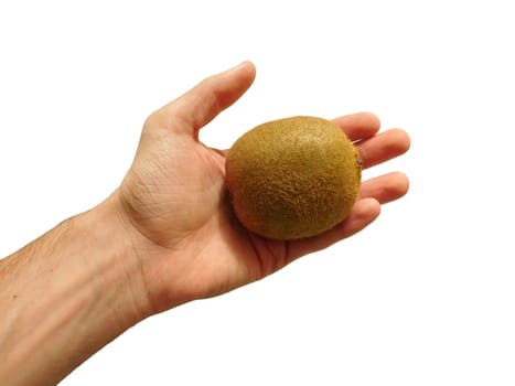 kiwi in hand