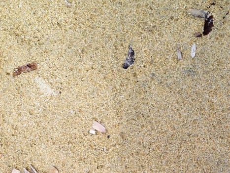 sand texture