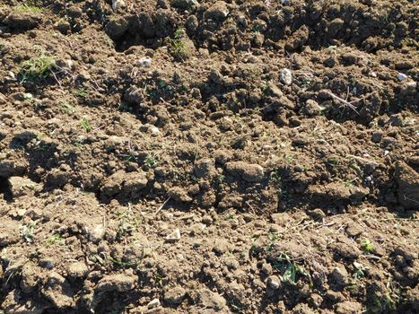 earth texture