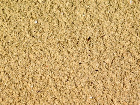 sand texture