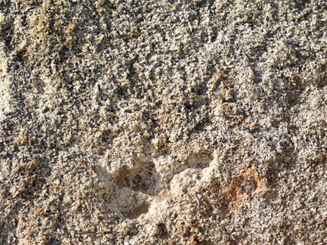 stone texture