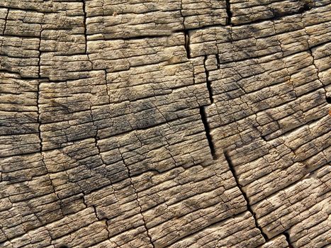 wood texture