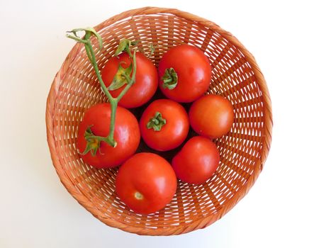tomatoes