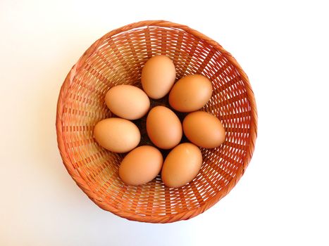 eggs