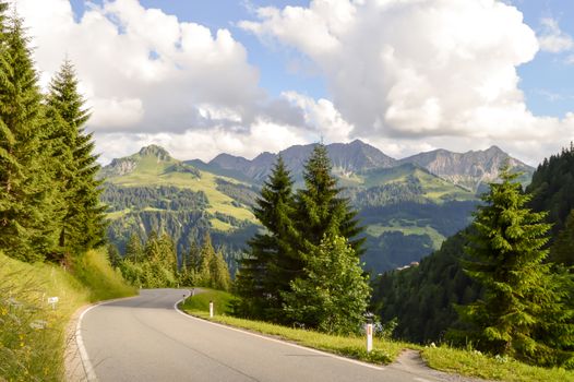 Route in a wooded valley of the tyrol in Austria