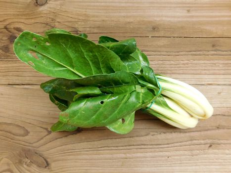 vegetable