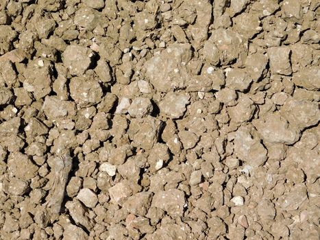 earth texture