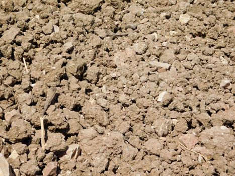 earth texture