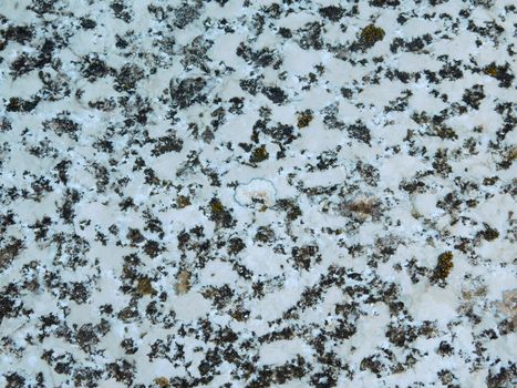stone texture