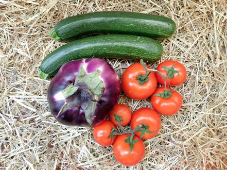 vegetables