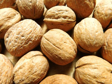 walnuts with shell