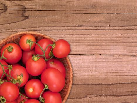 tomatoes